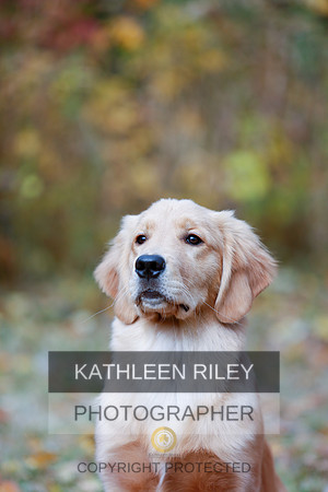 2022-KathleenRileyPhotography-1175