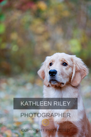 2022-KathleenRileyPhotography-1182