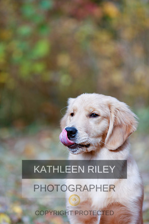 2022-KathleenRileyPhotography-1183