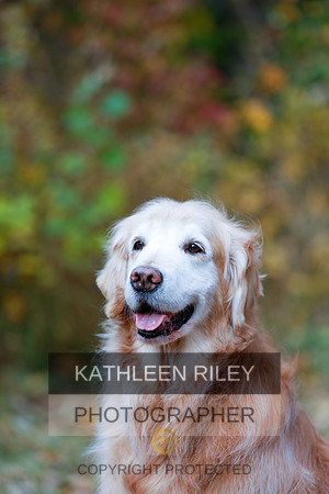 2022-KathleenRileyPhotography-1262