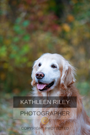 2022-KathleenRileyPhotography-1264