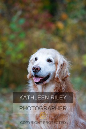 2022-KathleenRileyPhotography-1266