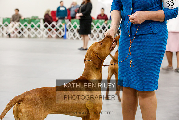 2022-KathleenRileyPhotography-1484