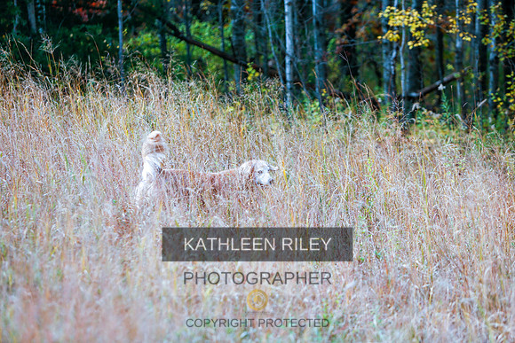2022-KathleenRileyPhotography-1341
