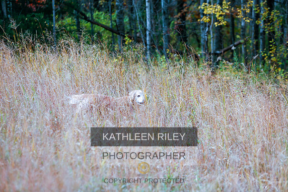 2022-KathleenRileyPhotography-1342