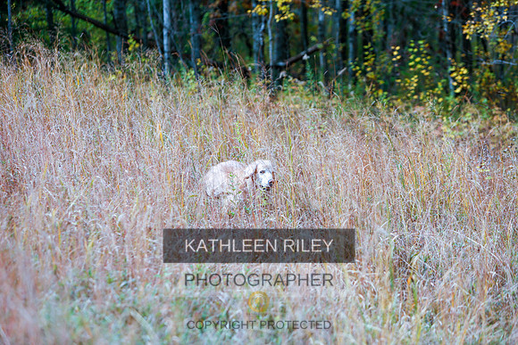 2022-KathleenRileyPhotography-1343
