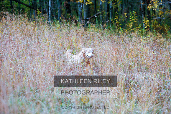 2022-KathleenRileyPhotography-1344