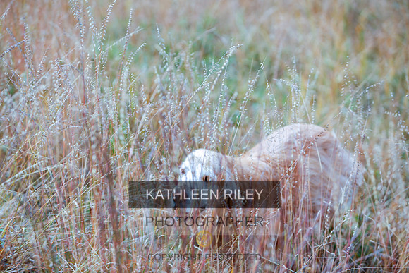 2022-KathleenRileyPhotography-1351