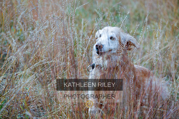 2022-KathleenRileyPhotography-1352