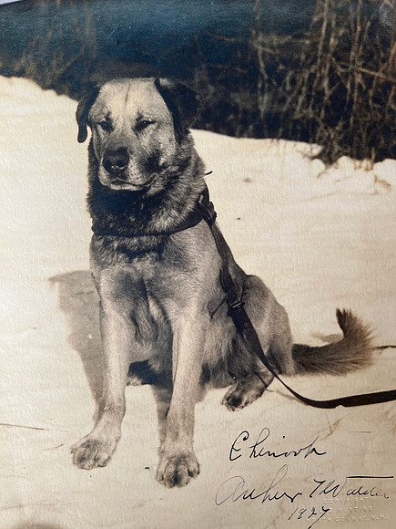 Chinook