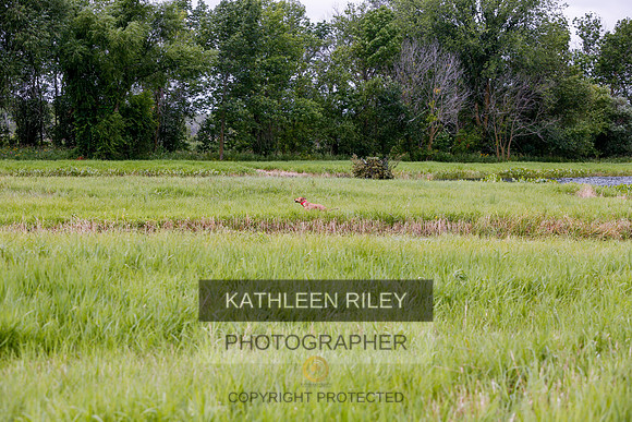 2022-KathleenRileyPhotography-3199