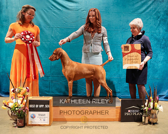 KARD7288