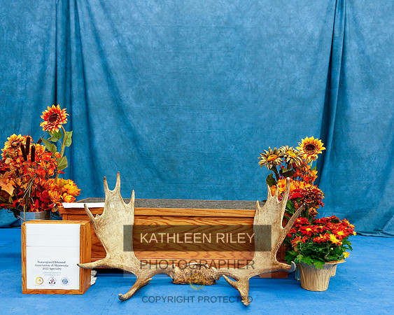 2022-KathleenRileyPhotography-1374