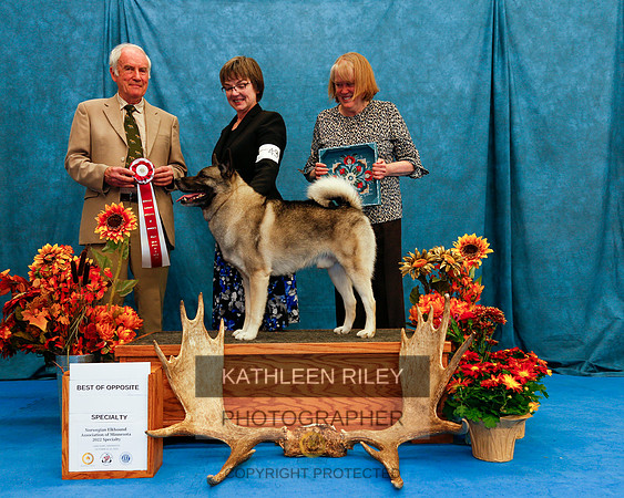 2022-KathleenRileyPhotography-1458