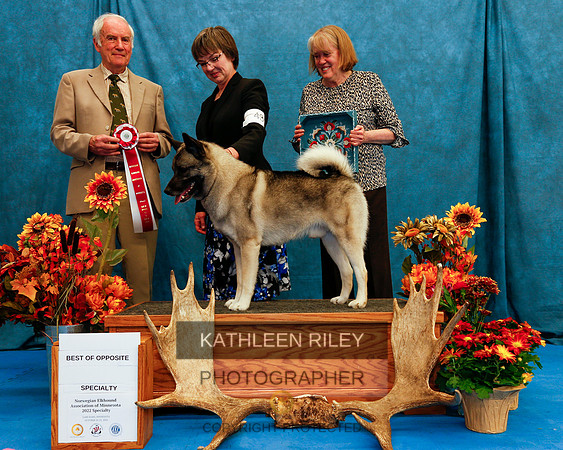 2022-KathleenRileyPhotography-1464