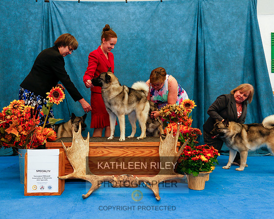 2022-KathleenRileyPhotography-1518