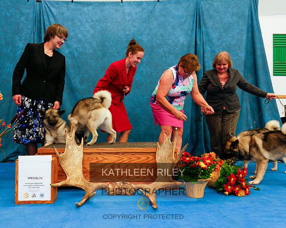 2022-KathleenRileyPhotography-1537