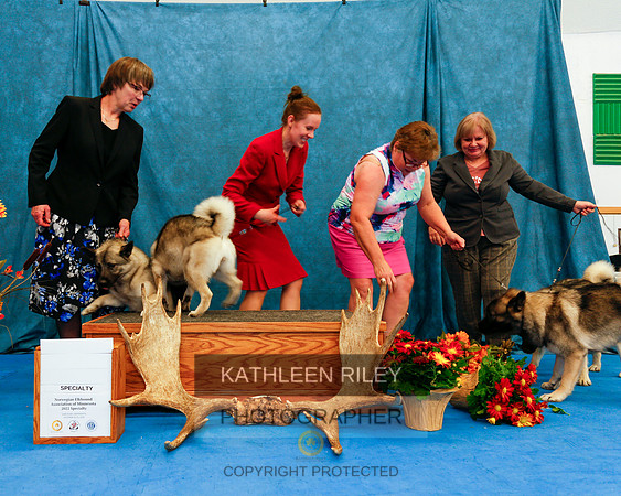 2022-KathleenRileyPhotography-1538