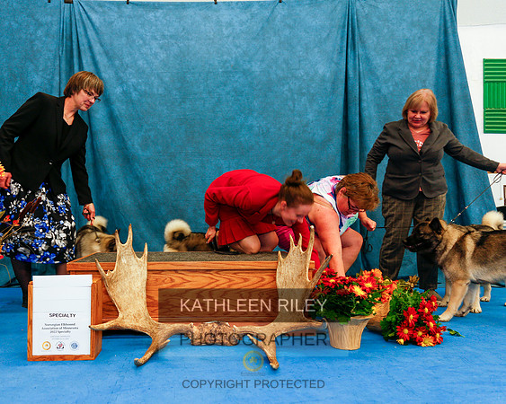 2022-KathleenRileyPhotography-1543
