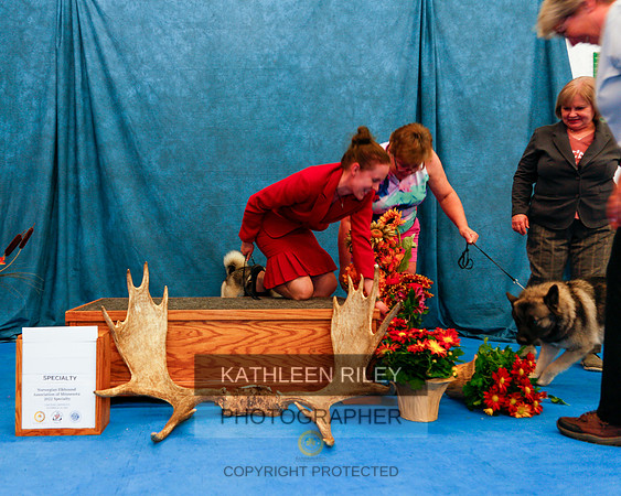 2022-KathleenRileyPhotography-1548