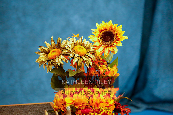 2022-KathleenRileyPhotography-1484