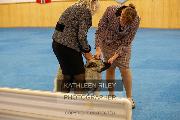2022-KathleenRileyPhotography-1498