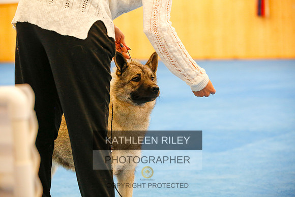 2022-KathleenRileyPhotography-1504