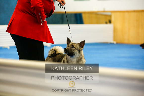 2022-KathleenRileyPhotography-1509