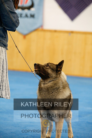 2022-KathleenRileyPhotography-1522