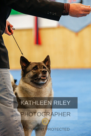 2022-KathleenRileyPhotography-1523