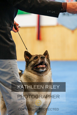 2022-KathleenRileyPhotography-1524