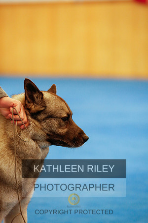 2022-KathleenRileyPhotography-1527