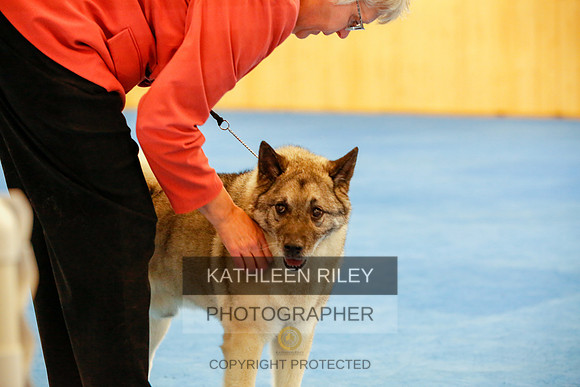 2022-KathleenRileyPhotography-1537
