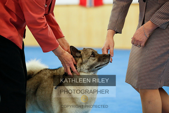 2022-KathleenRileyPhotography-1538