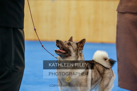 2022-KathleenRileyPhotography-1547