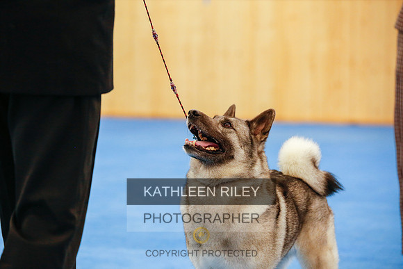2022-KathleenRileyPhotography-1548