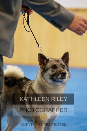 2022-KathleenRileyPhotography-1551