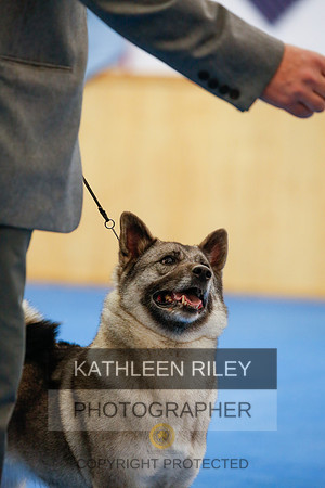 2022-KathleenRileyPhotography-1552