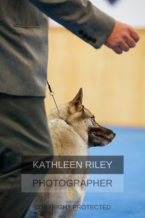 2022-KathleenRileyPhotography-1553