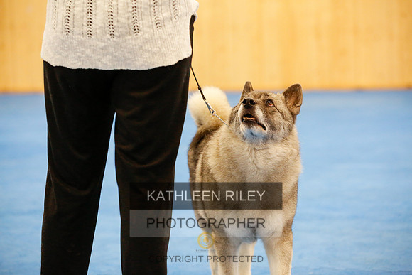 2022-KathleenRileyPhotography-1560