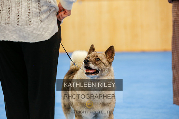 2022-KathleenRileyPhotography-1563