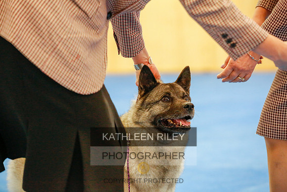 2022-KathleenRileyPhotography-1566