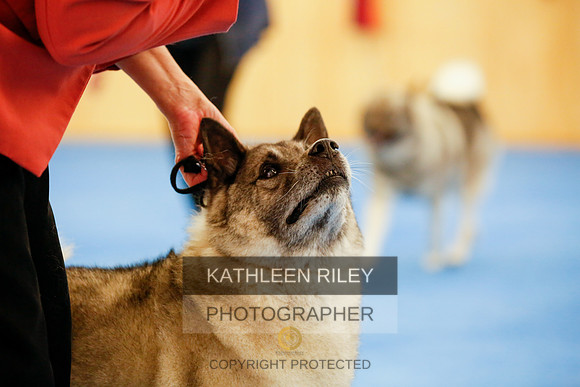 2022-KathleenRileyPhotography-1574