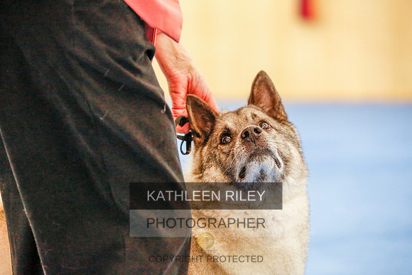 2022-KathleenRileyPhotography-1575