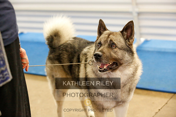 2022-KathleenRileyPhotography-1621