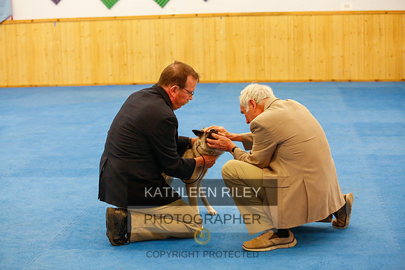 2022-KathleenRileyPhotography-1634