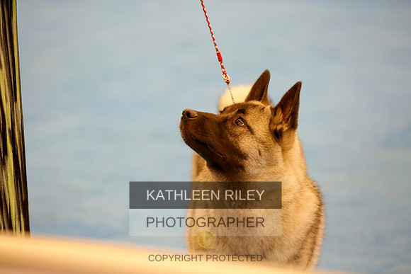 2022-KathleenRileyPhotography-1635