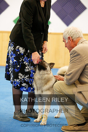 2022-KathleenRileyPhotography-1657
