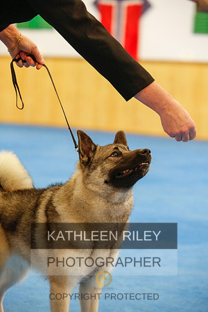 2022-KathleenRileyPhotography-1673