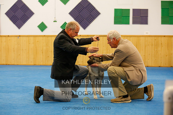 2022-KathleenRileyPhotography-1721